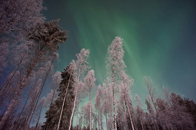 From Rovaniemi: Northern Lights Tour with Campfire Snacks - Campfire dinner at Olkkajärvi Lake: where the mood starts