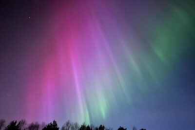 From Rovaniemi: Northern Lights Tour with Campfire Snacks - Aurora hunting with a guide who helps you spot (and photograph)