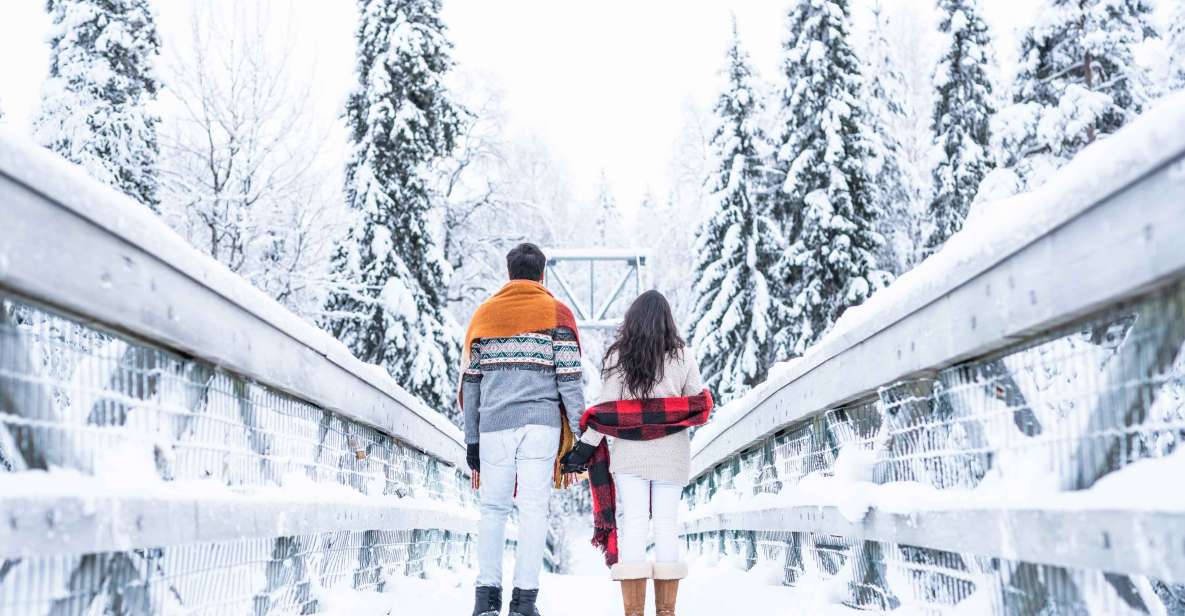 From Rovaniemi: Private Photoshoot in the Lappish Wilderness - Getting out of Rovaniemi and into proper Arctic scenery