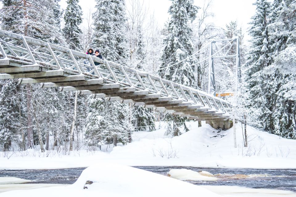 From Rovaniemi: Private Photoshoot in the Lappish Wilderness - Why a professional photographer changes everything