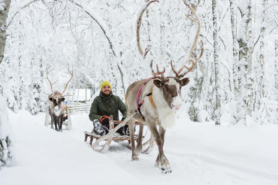 From Rovaniemi: Reindeer Farm Visit with Sleigh Ride - Meet the Sámi and the herd: your first hour at the farm