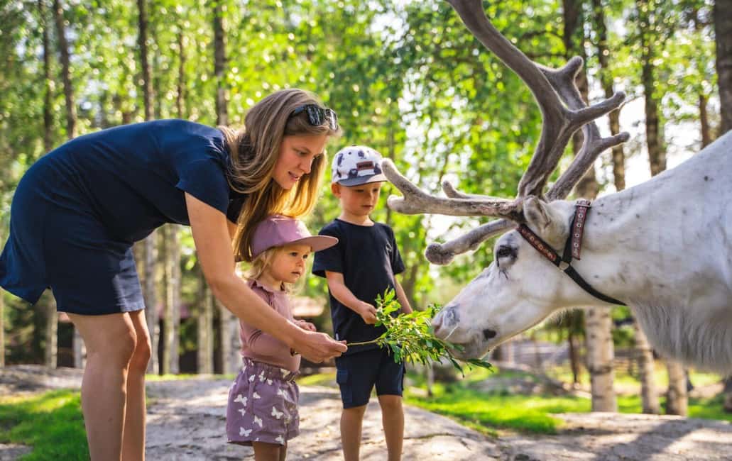 From Rovaniemi: Reindeer Farm Visit with Sleigh Ride - The reindeer sled ride: 400–500 meters of winter joy