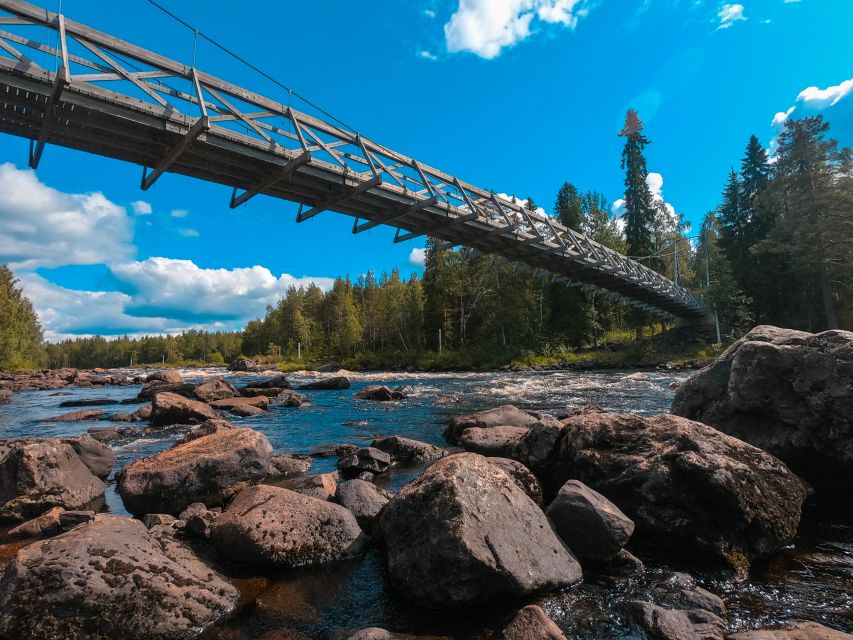 From Rovaniemi: Vikaköngäs Forest Hiking Tour - Key highlights