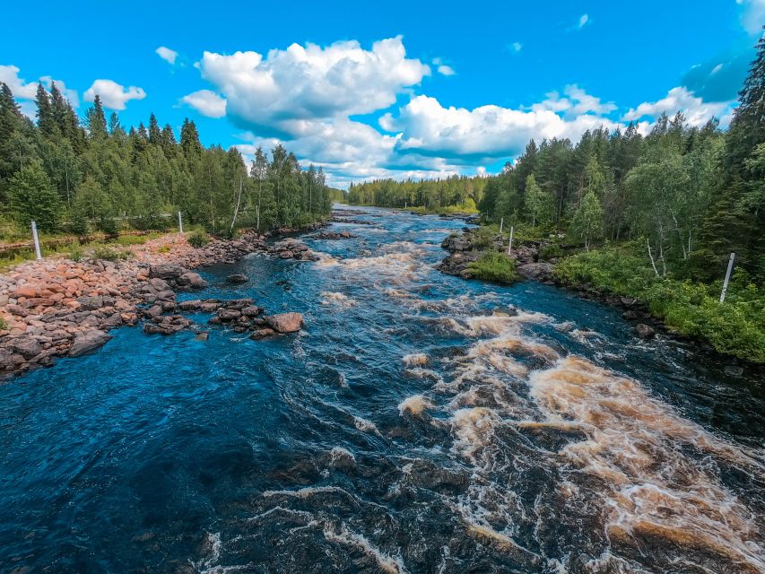 From Rovaniemi: Vikaköngäs Forest Hiking Tour - Getting to Vikaköngäs from Rovaniemi: pickup and timing that works
