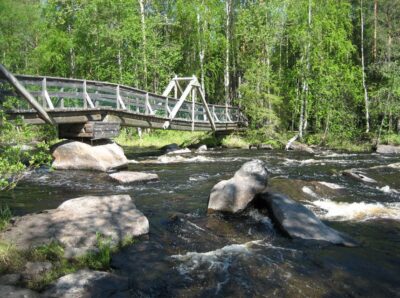 From Rovaniemi: Vikaköngäs Forest Hiking Tour - What the Vikaköngäs hike feels like: forest paths, rocky gorges, and lake views