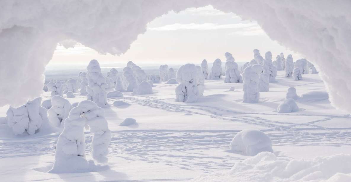 From Rovaniemi: Winter Wonderland Hike with a Hot Drink - Walking on the Moon: What the Winter Hike Actually Feels Like