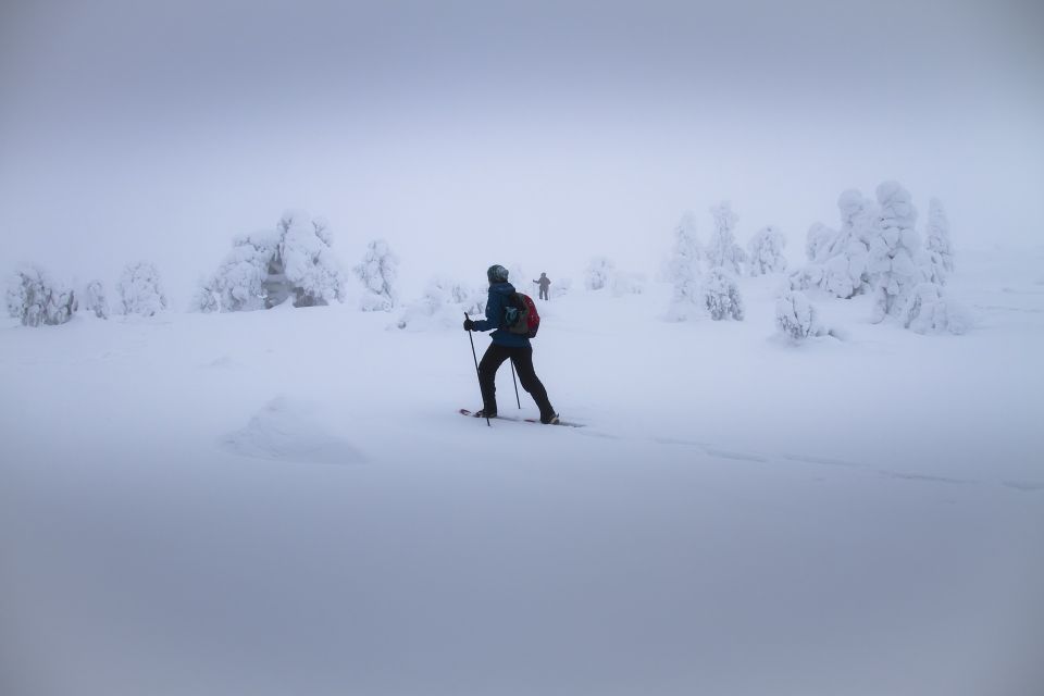 From Rovaniemi: Winter Wonderland Hike with a Hot Drink - The Guide Makes It: Clear Explanations and Local Nature Talk