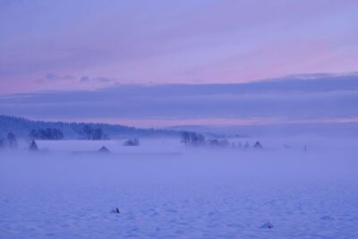 From Rovaniemi: Winter Wonderland Hike with a Hot Drink - Hot Drink, Cookies, and a Hut Pause for Wind-Adjusted Comfort