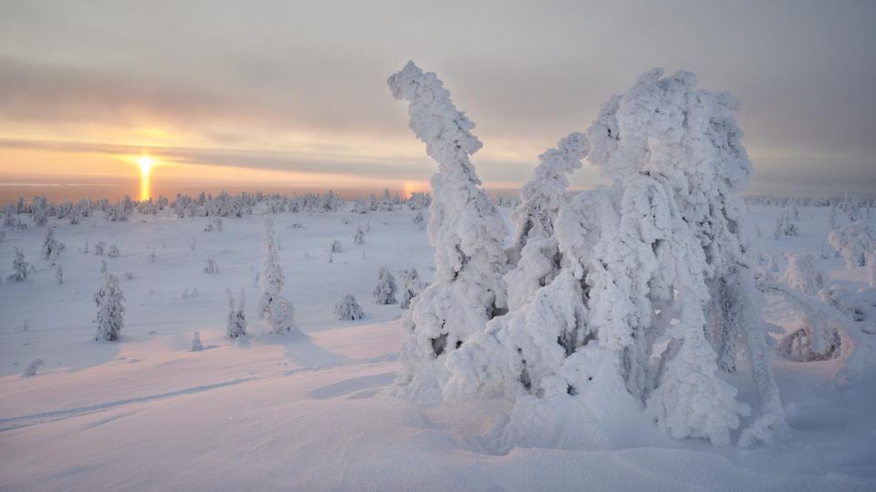 From Rovaniemi: Winter Wonderland Hike with a Hot Drink - FAQ
