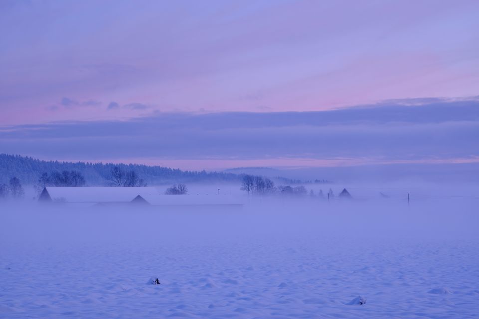 From Rovaniemi: Winter Wonderland Hike with a Hot Drink - Hot Drink, Cookies, and a Hut Pause for Wind-Adjusted Comfort