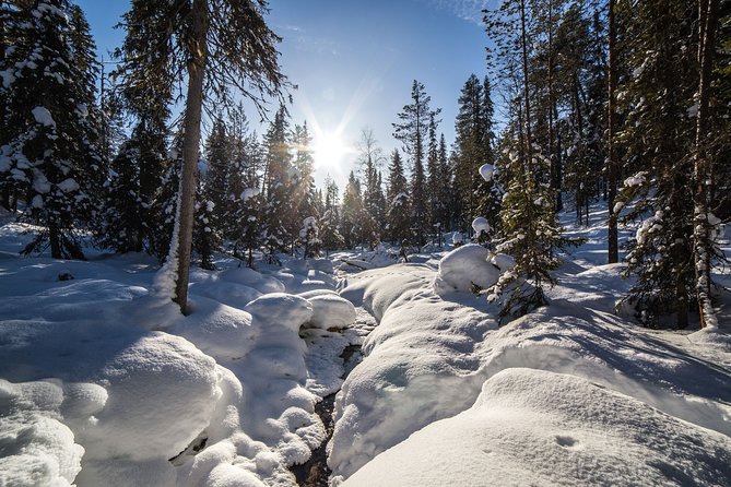 Frozen Waterfalls of Korouoma Canyon tour with Pro Photos & BBQ - Photo stops with a pro: how this tour improves your winter shots