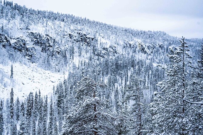 Frozen Waterfalls of Korouoma Canyon tour with Pro Photos & BBQ - BBQ lunch in the wild: warm food, real Lapland feeling