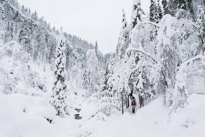 Frozen Waterfalls of Korouoma Canyon tour with Pro Photos & BBQ - Weather and timing: how the day shifts in -20°C conditions