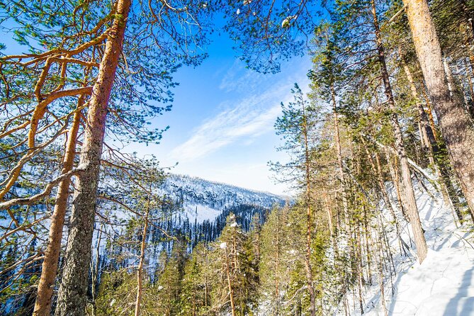 Frozen Waterfalls of Korouoma Canyon tour with Pro Photos & BBQ - What’s included (and why it’s a real value)
