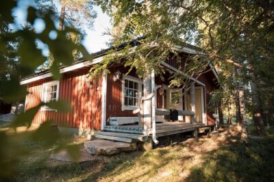 Full Day Lapland Tour, including Lunch and Dinner - Lunch buffet at the zoo: where the day stops for real energy