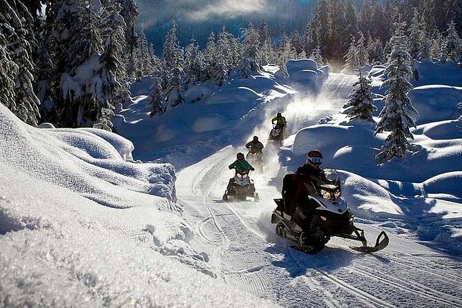 Full Day Snowmobile Safari - Nordic Unique Travels and the pre-ride briefing you’ll want to take seriously