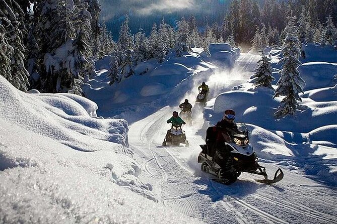 Full Day Snowmobile Safari - Who drives, who rides: licenses, solo rules, and twin driving