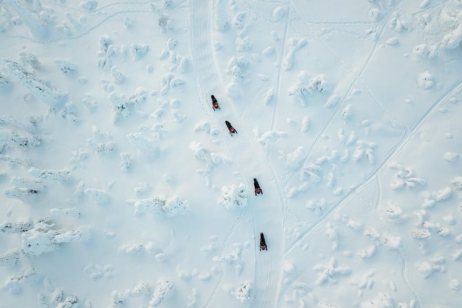 Full Day Snowmobile Safari into the Lappish Wilderness in Rovaniemi - From Safartica to the Lapland “real deal” route