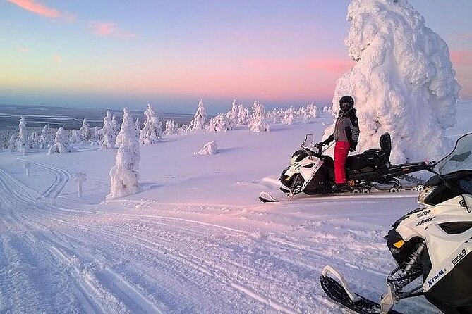 Full Day Snowmobile Safari - Campfire barbecue lunch: warming up and refueling