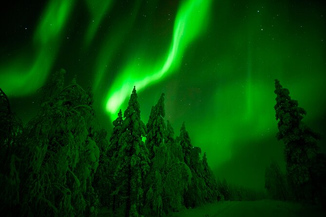 Guaranteed Northern Lights Hunting Adventure in Lapland - The 7-hour aurora drive: from Rovaniemi lights to real night skies