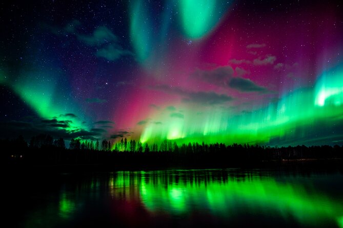 Guaranteed Northern Lights Hunting Adventure in Lapland - Hot drink stops and photo help with a professional camera