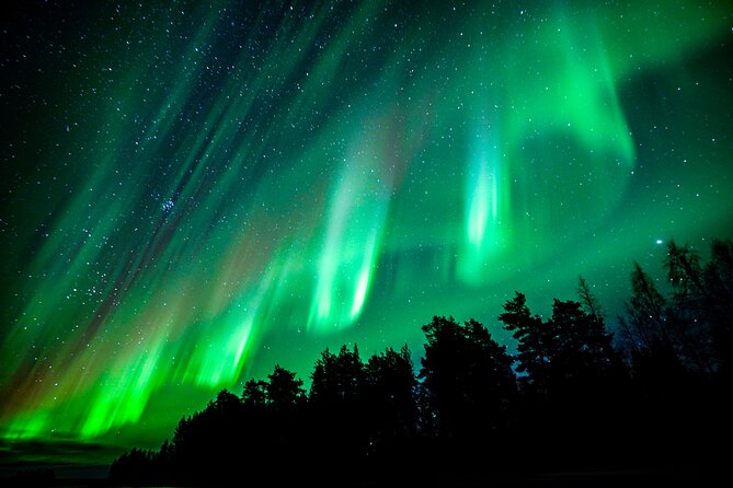 Guaranteed Northern Lights Hunting Adventure in Lapland - Where the night’s magic happens: multiple wilderness viewing locations