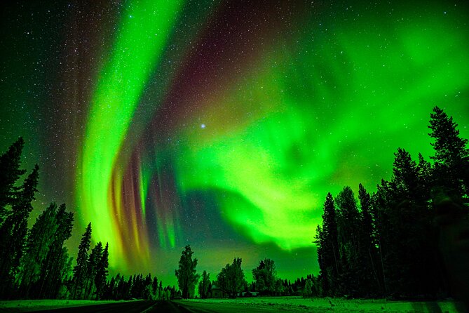 Guaranteed Northern Lights Hunting Adventure in Lapland - Who should book this Northern Lights hunt from Rovaniemi