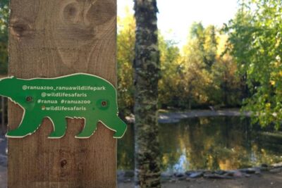 Guided Ranua Wildlife Park tour with Lunch, Small group adventure - Getting there from Rovaniemi: pickup, a set start, and a smooth plan