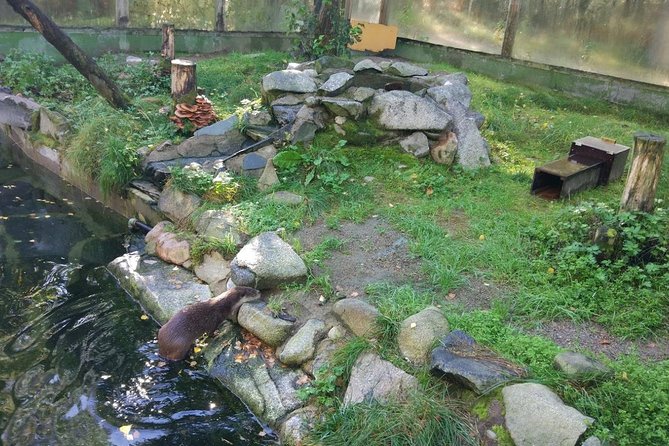 Guided Ranua Wildlife Park tour with Lunch, Small group adventure - Lunch included: a warm reset after the forest walk