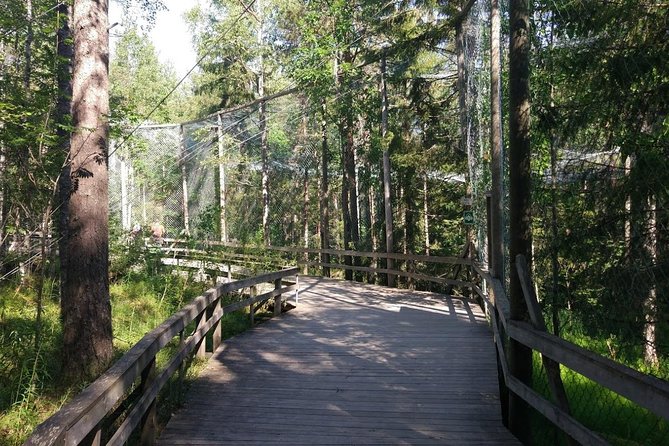 Guided Ranua Wildlife Park tour with Lunch, Small group adventure - When to expect hiccups: snow, animal timing, and visibility