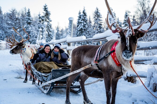Half-Day Experience in Local reindeer farm in Lapland - Warm Snacks, Hot Drinks, and the Fire-Tent Feeling