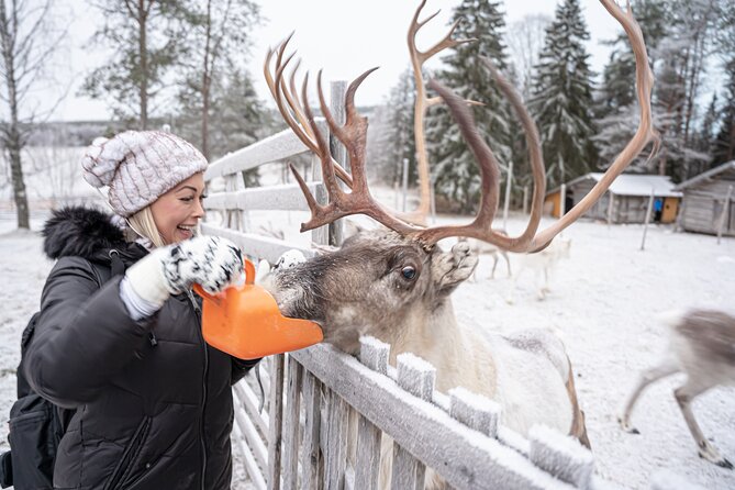 Half-Day Experience in Local reindeer farm in Lapland - Price and Value: What You’re Actually Paying For