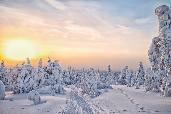 Hike to Frozen Waterfalls of Korouoma Including BBQ Lunch from Rovaniemi - Bonfire BBQ lunch and blueberry tea: the warm reset you’ll be grateful for