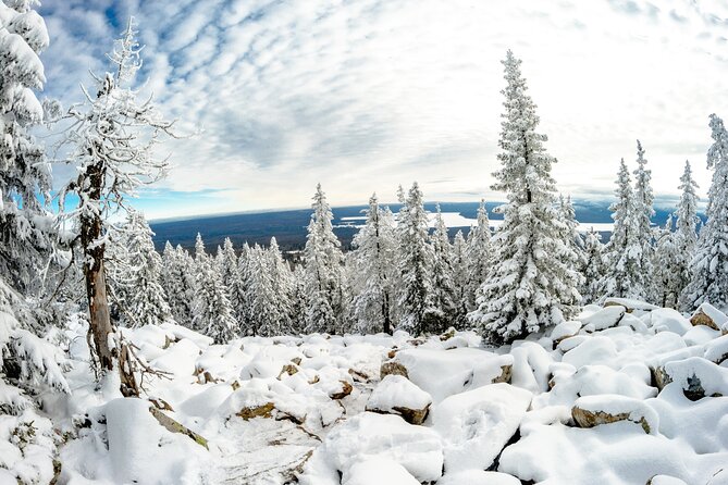 Hike to Frozen Waterfalls of Korouoma Including BBQ Lunch from Rovaniemi - Guides in the field: why names matter for safety and pacing