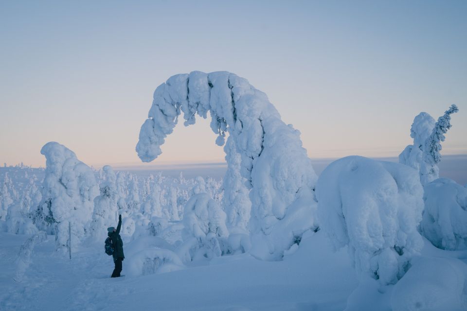 Hiking in Riisitunturi National Park with Photographer - Key things to know before you go