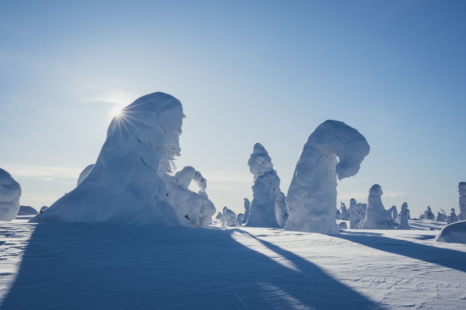 Hiking in Riisitunturi National Park with Photographer - Weather reality in Lapland: dress for cold and for waiting