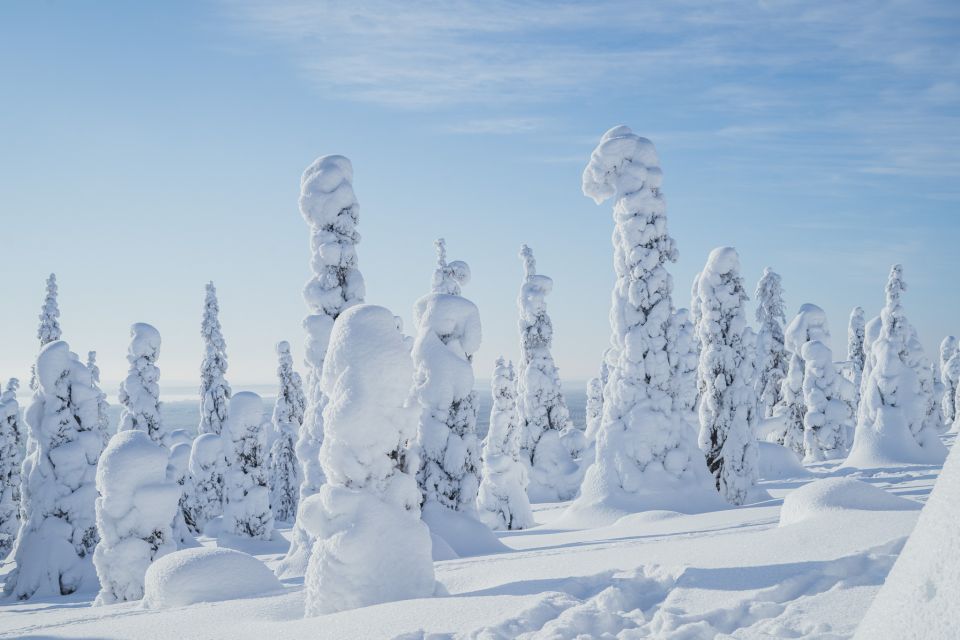 Hiking in Riisitunturi National Park with Photographer - Riisitunturi in winter: why this hike feels otherworldly