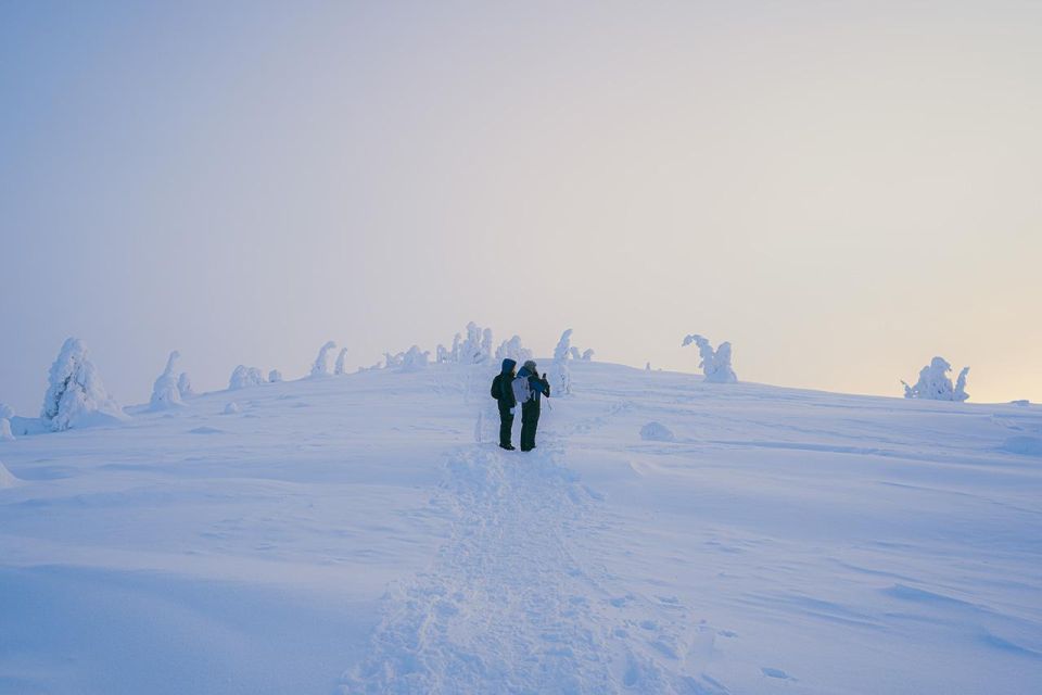 Hiking in Riisitunturi National Park with Photographer - Photo stops, hiking pace, and how 5 km works in the snow