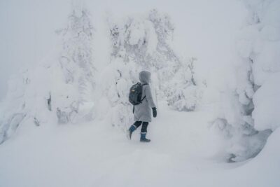 Hiking in Riisitunturi National Park with Photographer - Rovaniemi pickup and the long van ride you should plan for