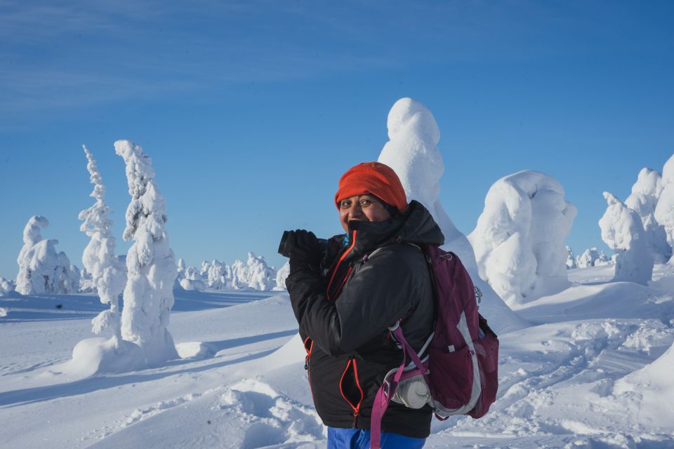 Hiking in Riisitunturi National Park with Photographer - Price and value at about $222: what you’re really buying