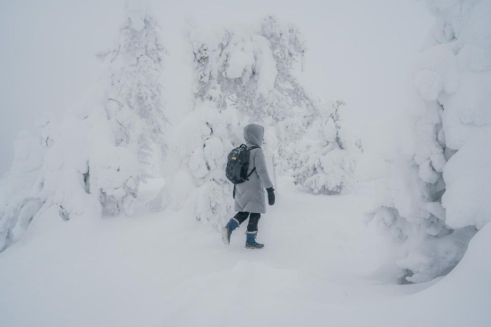 Hiking in Riisitunturi National Park with Photographer - Rovaniemi pickup and the long van ride you should plan for