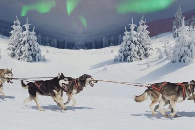 Hunting Northern Lights with Husky - Nordic Unique Travels stop: gear, briefings, and the first bottleneck