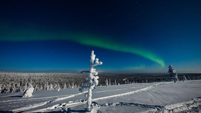 Hunting Northern Lights with Husky - Hot blueberry juice and the BBQ tent: warm food, quick service, mixed size