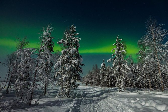Hunting Northern Lights with Husky - Value and price reality: where $275.90 makes sense (and where it stings)