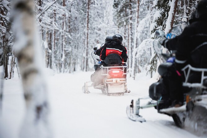 Husky and Reindeer Experience With Snowmobiling - Key Highlights You’ll Feel Fast