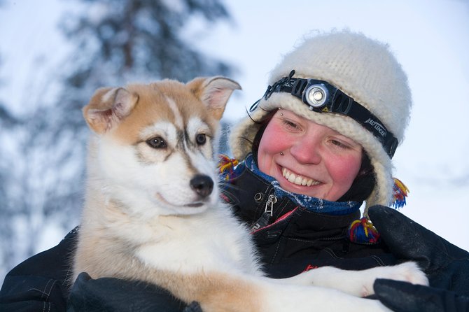 Husky Safari from Rovaniemi Including a Husky Sled Ride - From Hotel Pickup to Husky Farm: Getting Set Up for the Cold