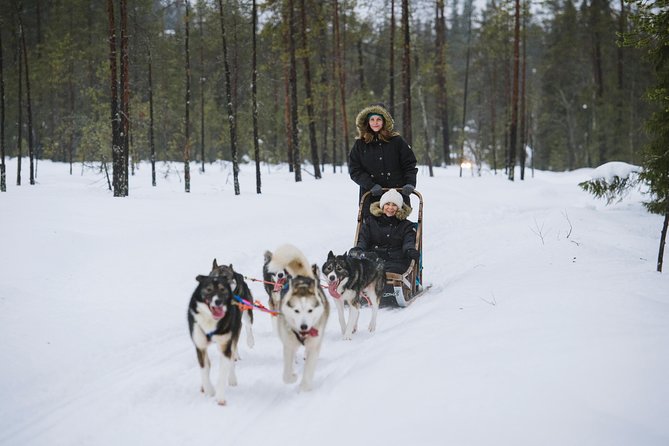Husky Safari from Rovaniemi Including a Husky Sled Ride - The Husky Sled Ride (20 or 30 Minutes): How It Works and What You’ll See