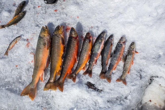 Ice Fishing and Husky - Pickup, Timing, and Where You Actually Meet