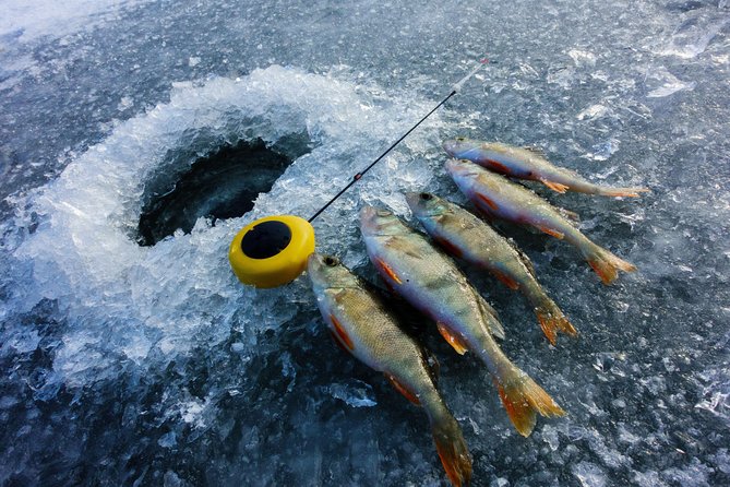 Ice Fishing and Husky - Price and Value: $312 for a Full Winter Combo