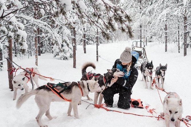 Ice Fishing and Husky - Nordic Unique Travels Gear Plan: Travel Light, Stay Warm